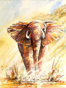 watercolour elephant
