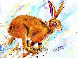 Watercolour Hare painting