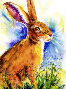 Hares Rabbits