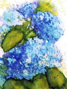 Blue Hydrangea