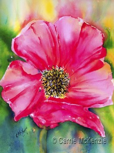 Red-poppy-16x12