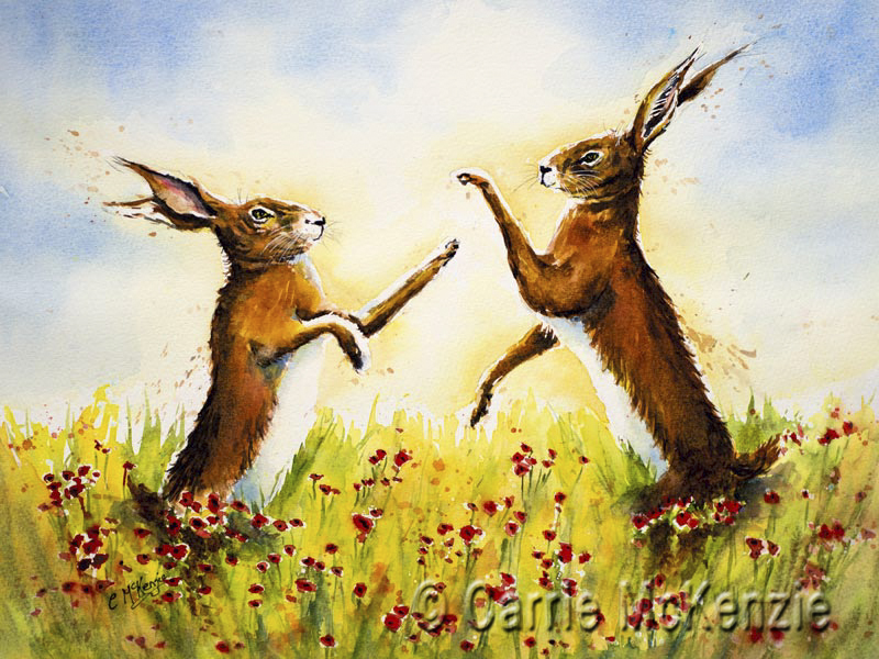 boxing hares, hares, Boxing Hares painting, art, hares painting, rabbits, rabbits painting, rabbits art, wildlife, wildlife painting, wildlife art, nature, nature painting, nature art, poppies, poppies painting, popppies art