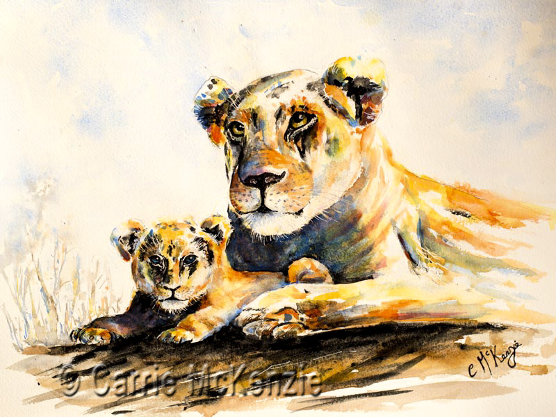 LION, lions, lioness, lion cub, animal, wildlife, safari, africa