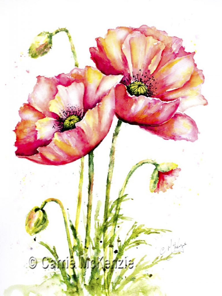 FLOWER PAINTINGS Carrie McKenzie Artist Halifax Yorkshire. Flowers