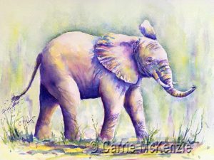 elephant, africa, wildlife, safari, baby elephant