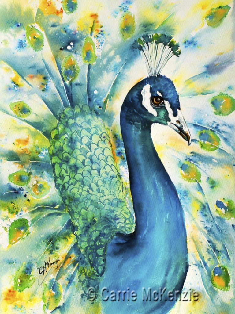 peacock, peacock painting, peacock art, peacock watercolour, brusho. peacock brusho, bird, nature, wildlife