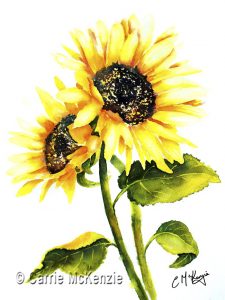 sunflowers