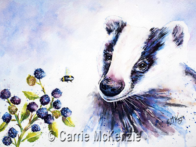 badger, bee, wildlife, countryside, animal, badger painting, badger art, watercolour, bee, blackberry, blackberries, 